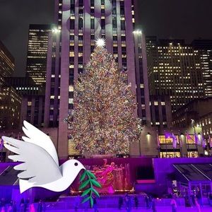 Meet your Posher, Joann